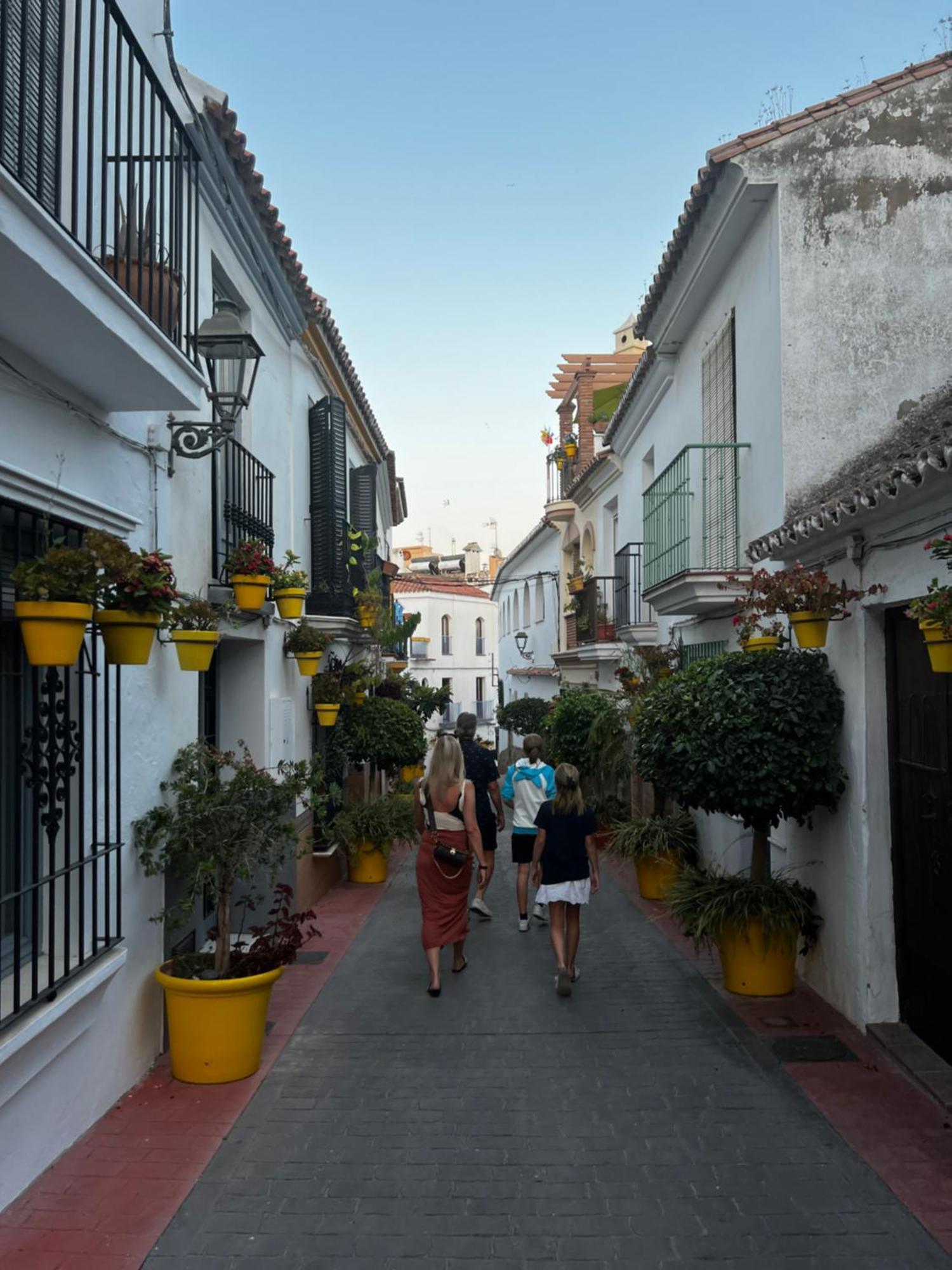 Playa Cristo Amazing Beach Terrace Appartment Estepona Eksteriør bilde